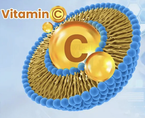satın al Katı içecek toz ve sıvı damlası için gelişmiş biyoyararlılık ile liposomal C vitamini Çevrimiçi üretim